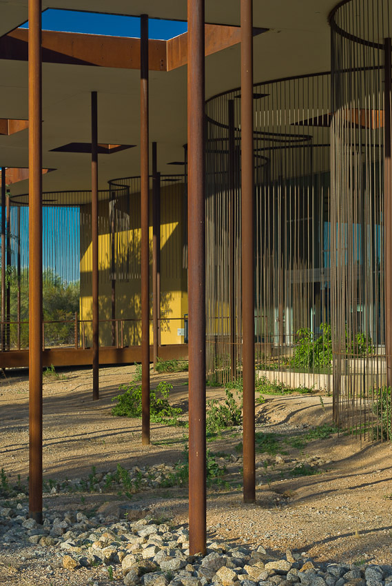 Desert Broom Library_2