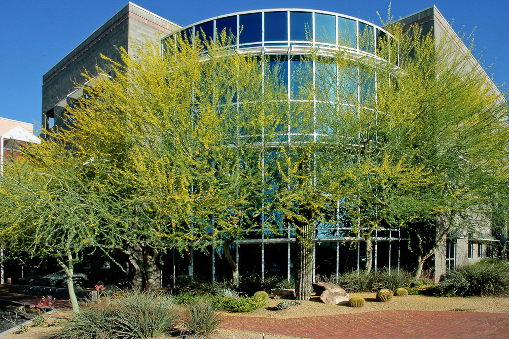 JC Lincoln Hospital_Sunnyslope_1