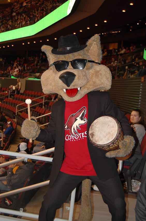 Coyotes_Howler