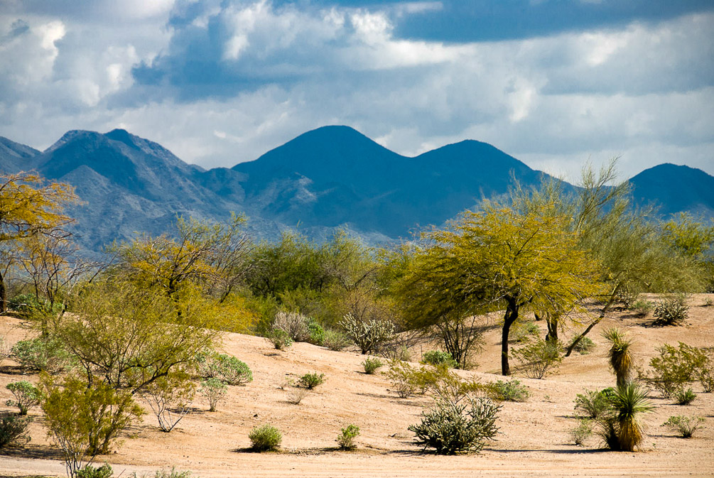 Scottsdale