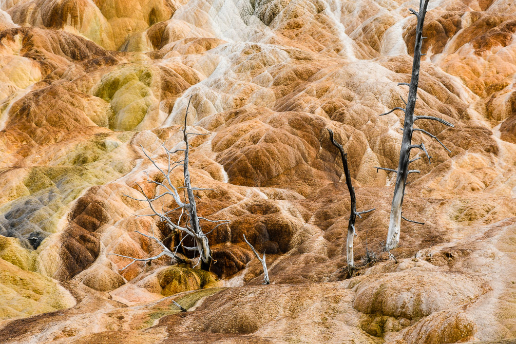 Yellowstone_2-2