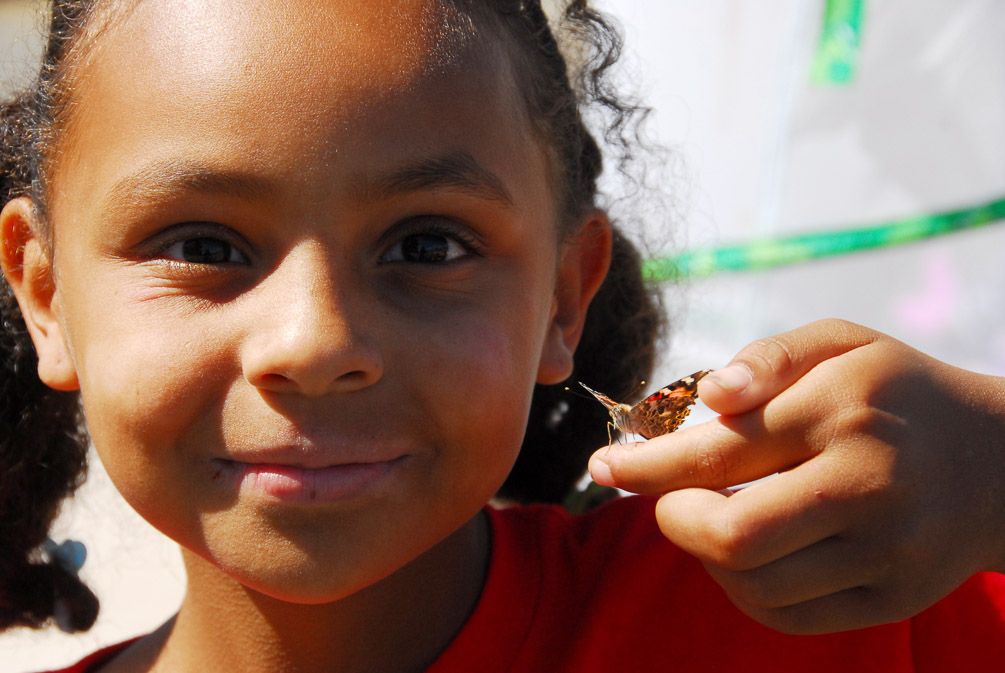 Butterfly Release