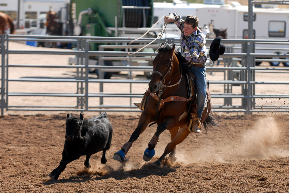 Calf Roping_1