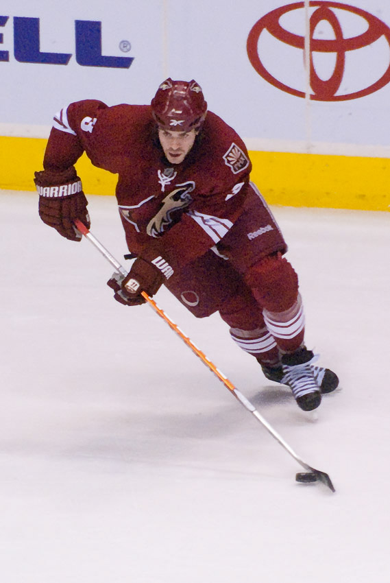 Coyotes_1